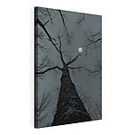 Cuadros Árbol con la luna al fondo