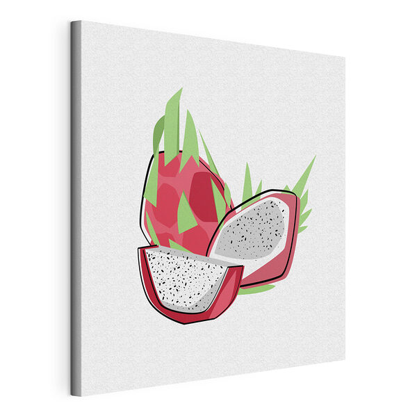 Cuadros Dibujo de una pitaya