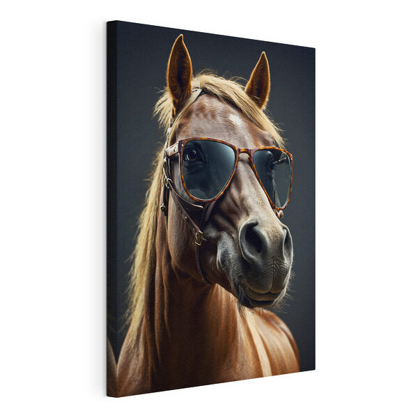 Caballo con gafas de sol Cuadros Caballo con gafas de sol