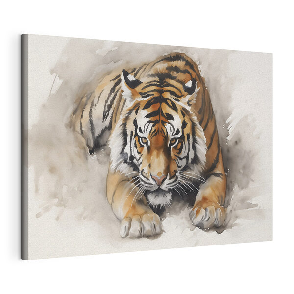 Acuarela de un tigre tumbado Cuadros Acuarela de un tigre tumbado