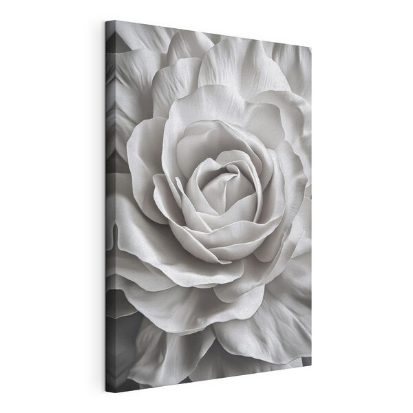 Elegantes capas de una rosa blanca Cuadros Elegantes capas de una rosa blanca