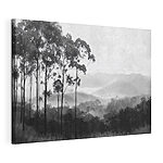 Cuadros Bosque con árboles y montañas al fondo