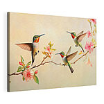 Cuadros Grupo de colibríes en una rama con flores