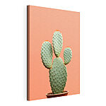 Cuadros Cactus con espinas rojas
