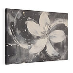 Cuadros Flor blanca sobre fondo negro