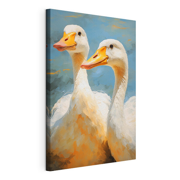 Pareja de patos blancos con picos naranjas Cuadros Pareja de patos blancos con picos naranjas