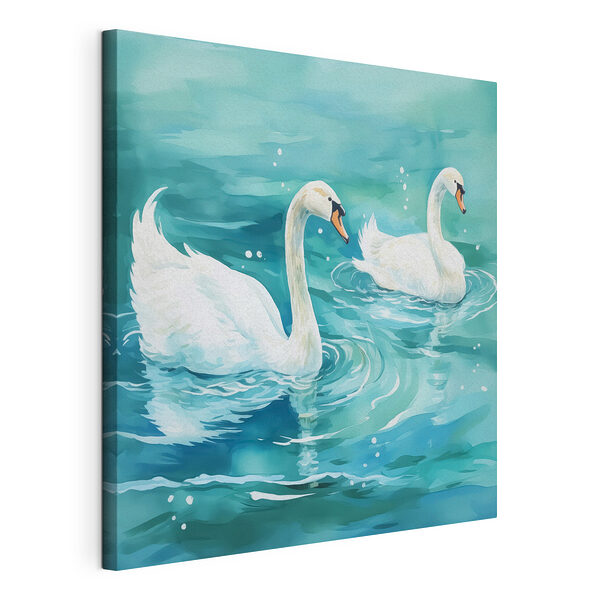 Cuadros Dos cisnes nadando en el agua