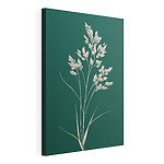 Cuadros Planta blanca con hojas