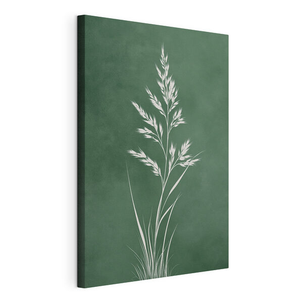 Cuadros Planta blanca con tallos largos