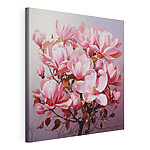 Cuadros Las flores rosas de la magnolia en flor en primavera