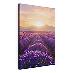 Cuadros Campo de lavanda con las montañas al fondo