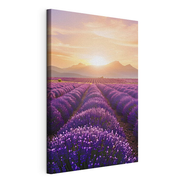 Cuadros Campo de lavanda con las montañas al fondo