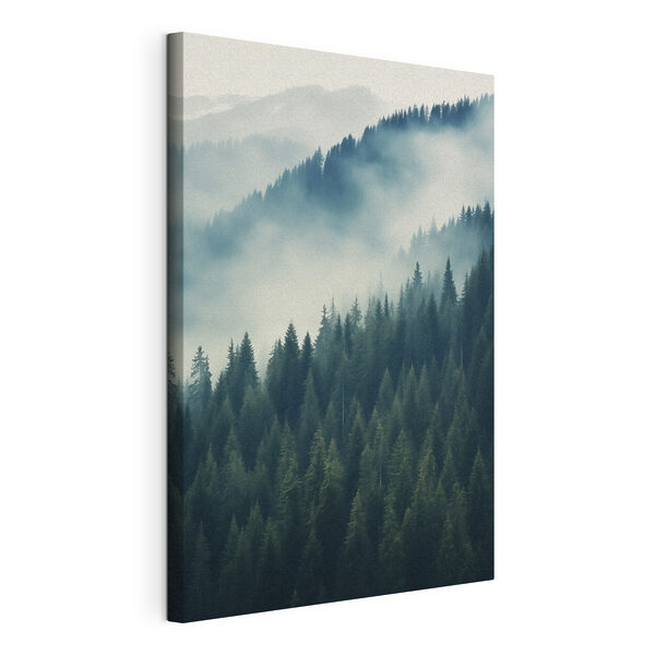 Cuadros Bosque cubierto de niebla