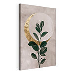 Cuadros Planta con hojas y una luna