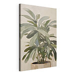 Cuadros Planta con hojas