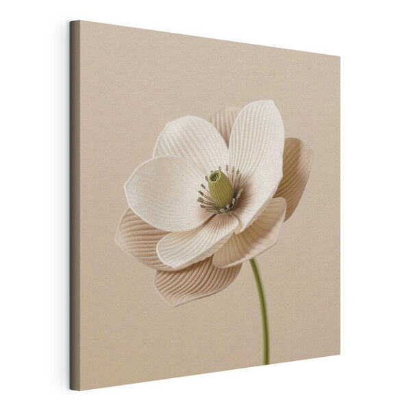Cuadros Una flor delicada con suaves curvas
