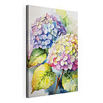 Cuadros Hortensias pintadas en acuarela en tonos vivos