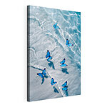 Cuadros Grupo de mariposas azules flotando en el agua