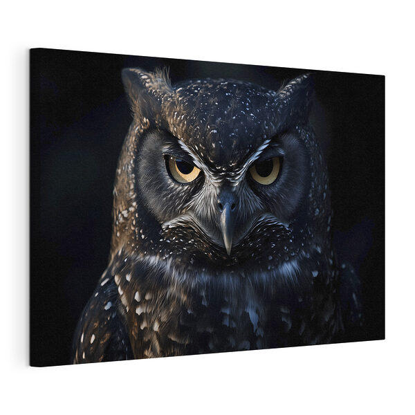 Cuadros Unos ojos misteriosos traspasan la oscuridad (SKU: s40271) Cuadros Cuadros Unos ojos misteriosos traspasan la oscuridad (SKU: s40271)