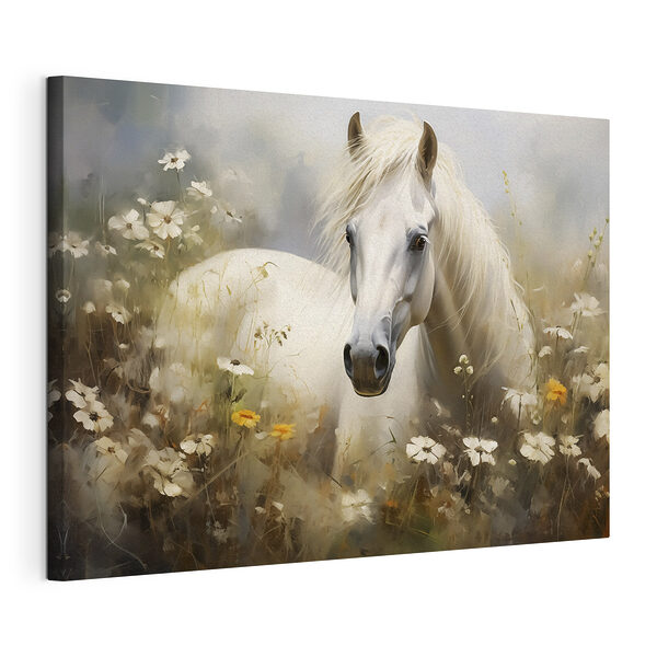Un caballo blanco en un campo de flores Cuadros Un caballo blanco en un campo de flores