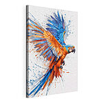 Cuadros Pájaro de colores que vuela con salpicaduras de pintura