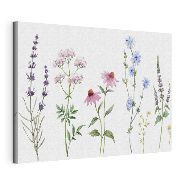 Cuadros Ramo de flores sobre fondo blanco
