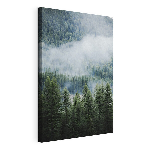 Cuadros Bosque con niebla y nubes