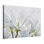 Cuadros La magnolia blanca florece en primavera