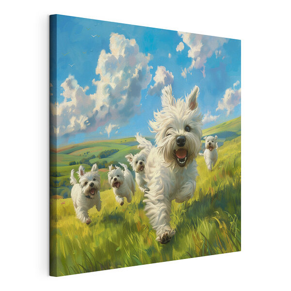 Cuadros Un grupo de perros blancos corriendo por un campo (SKU: s40357) Cuadros Cuadros Un grupo de perros blancos corriendo por un campo (SKU: s40357)