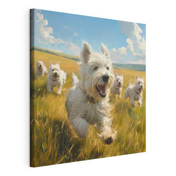 Cuadros Un grupo de perros blancos corriendo por un campo (SKU: s40358) Cuadros Cuadros Un grupo de perros blancos corriendo por un campo (SKU: s40358)