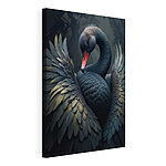 Cuadros Cisne negro con pico rojo