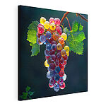 Cuadros Racimo de uvas de colores con gotitas de agua