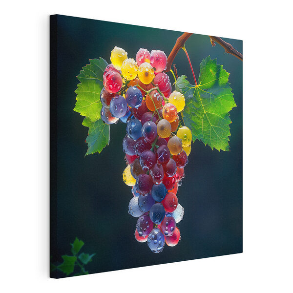Racimo de uvas de colores con gotitas de agua Cuadros Racimo de uvas de colores con gotitas de agua