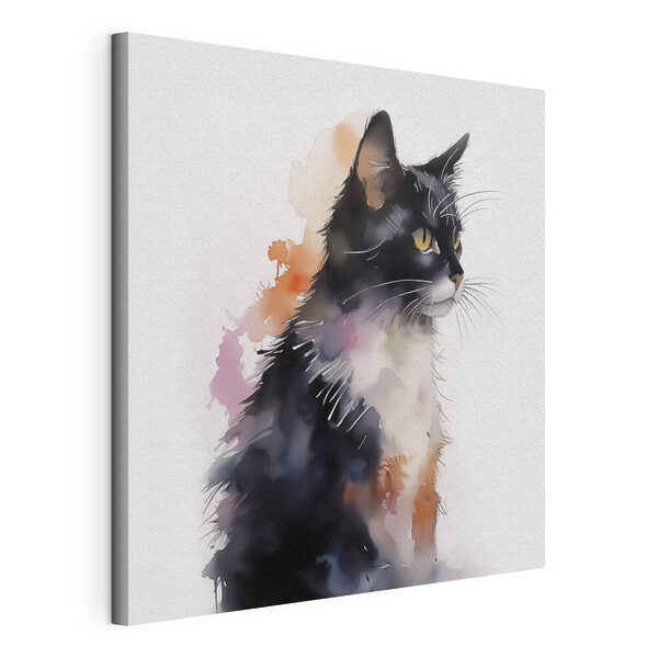 Cuadros Gato con la cara blanca y negra