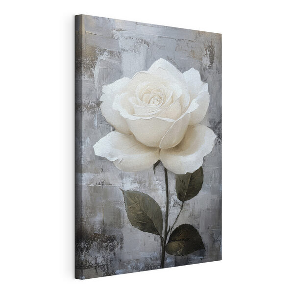 Cuadro de una rosa blanca Cuadros Cuadro de una rosa blanca