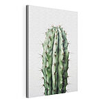 Cuadros Cactus con espinas