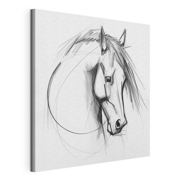 Cuadros Dibujo de un caballo