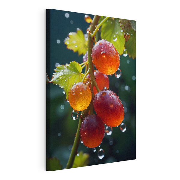 Racimo de uvas con gotas de agua Cuadros Racimo de uvas con gotas de agua