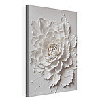Cuadros Flor blanca con hojas