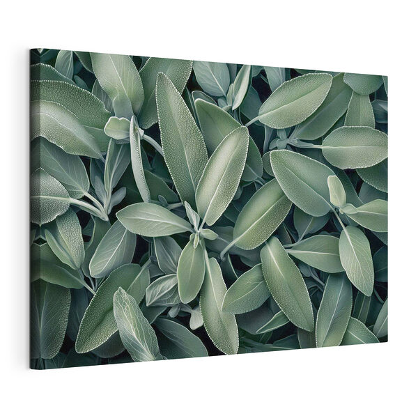 Hojas de un verde intenso que se superponen unas sobre otras Cuadros Hojas de un verde intenso que se superponen unas sobre otras