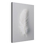 Cuadros Pluma blanca sobre fondo blanco