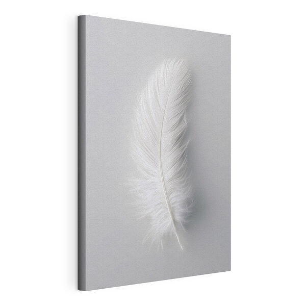 Cuadros Pluma blanca sobre fondo blanco