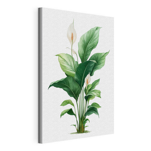 Cuadros Planta con flores blancas y hojas verdes