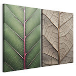 Lámina modular sobre lienzo Hojas de colores vivos que ponen de relieve el diseño de la naturaleza