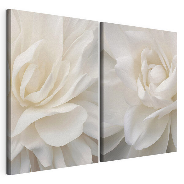 Lámina modular sobre lienzo Delicadas flores en suaves capas blancas